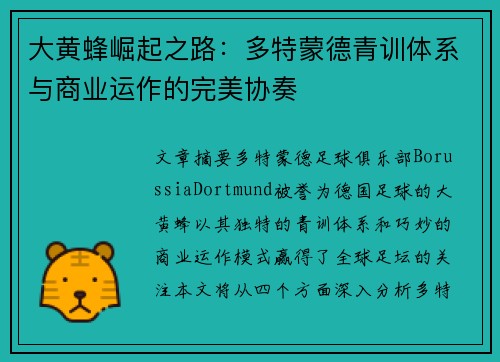 大黄蜂崛起之路：多特蒙德青训体系与商业运作的完美协奏