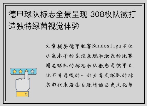 德甲球队标志全景呈现 308枚队徽打造独特绿茵视觉体验